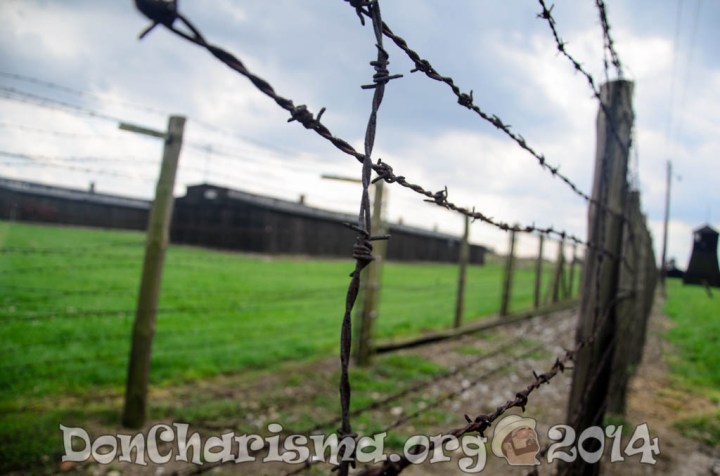 fence-barbed-wire-pb-444416-DonCharisma.org-1024LE