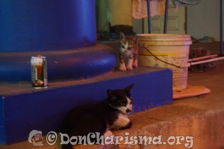 DSC04101-DonCharisma.org-1024LE