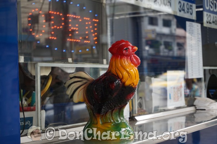 DSC06216-DonCharisma.org-1024LE