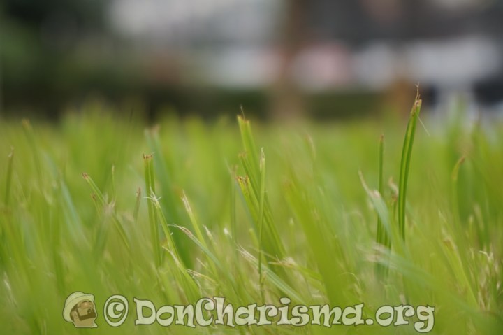 DSC06849-DonCharisma.org-1024LE