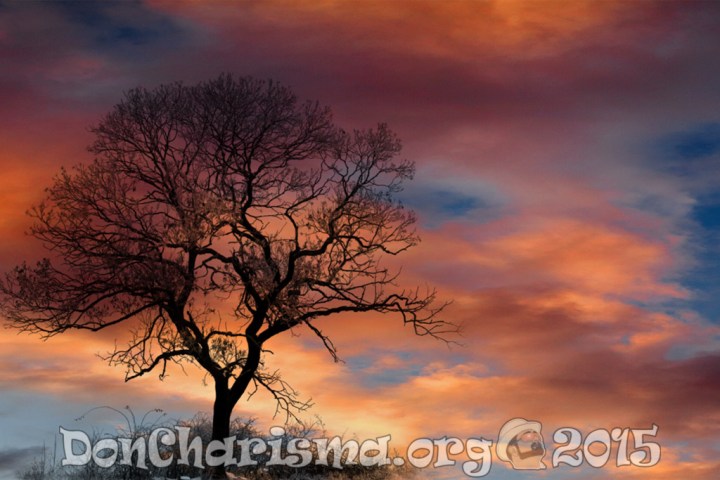 dramatic-sky-clouds-tree-silhouette-pb-210776-DonCharisma-1024LE