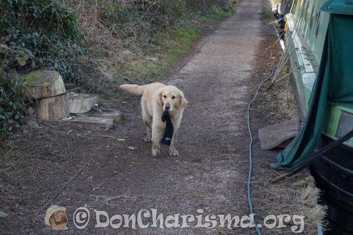 DSC01090-DonCharisma-1024LE