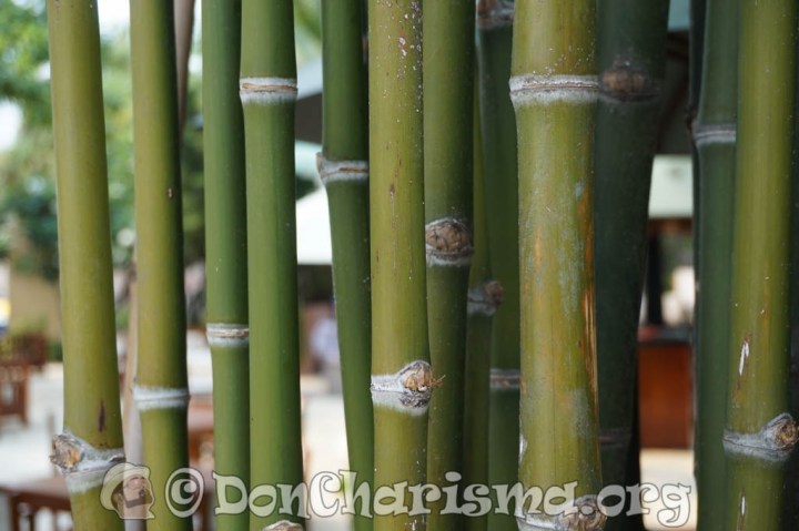 DSC07140-DonCharisma.org-1024LE