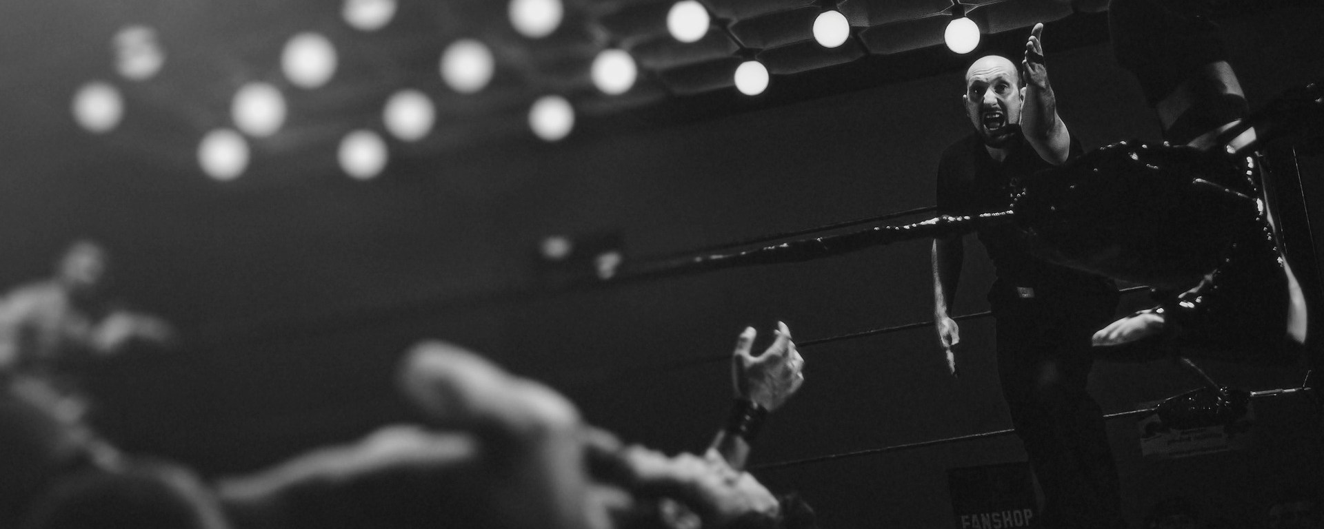 boxing,looser,ko,referee,ring,fight,sport,competition,professional,boxer,fighter,arena,match,stage,spotlight,punch,ropes,challenge,knockout,combat, DON CHARISMA