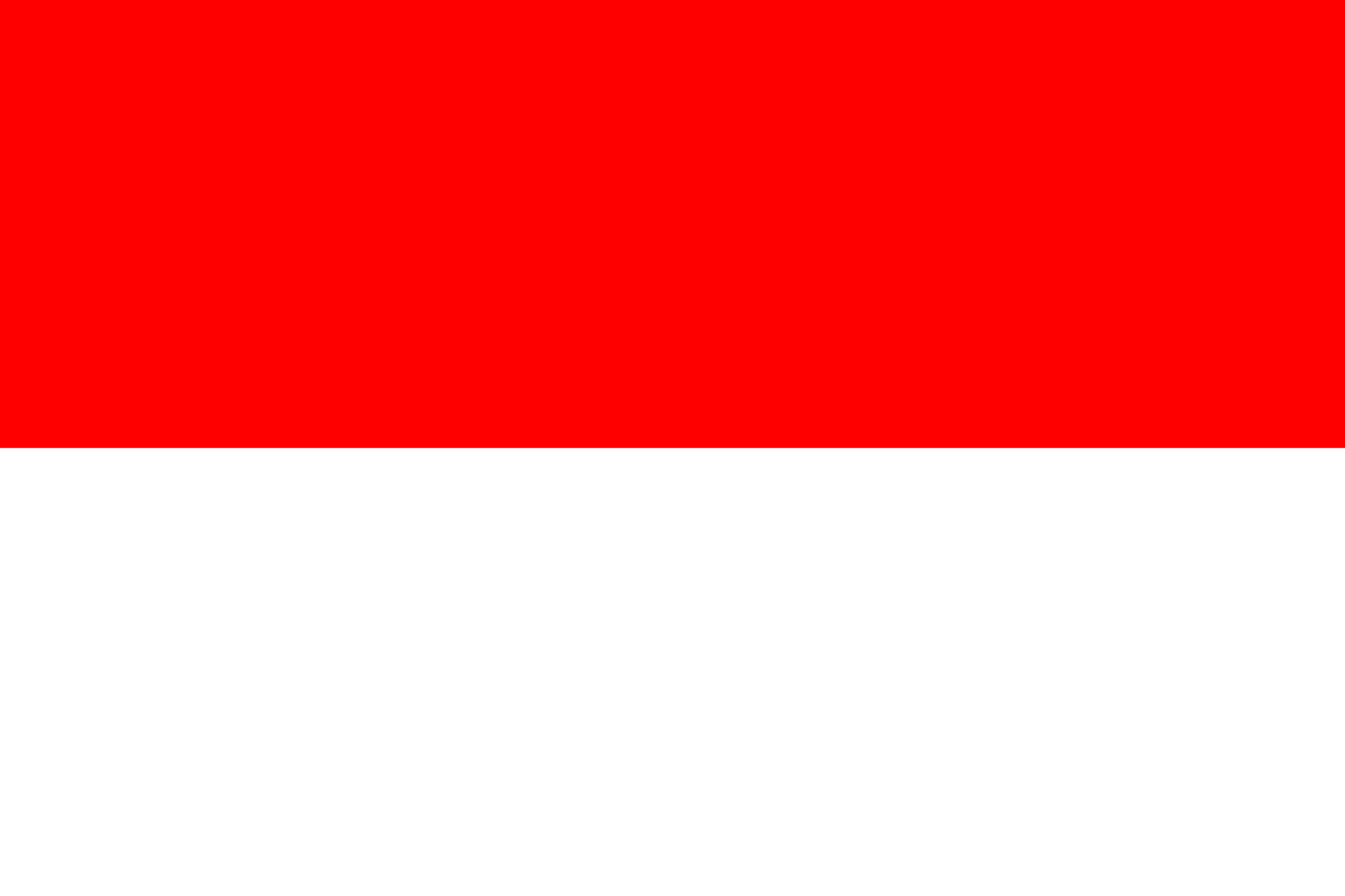 Indonesian Flag, DON CHARISMA