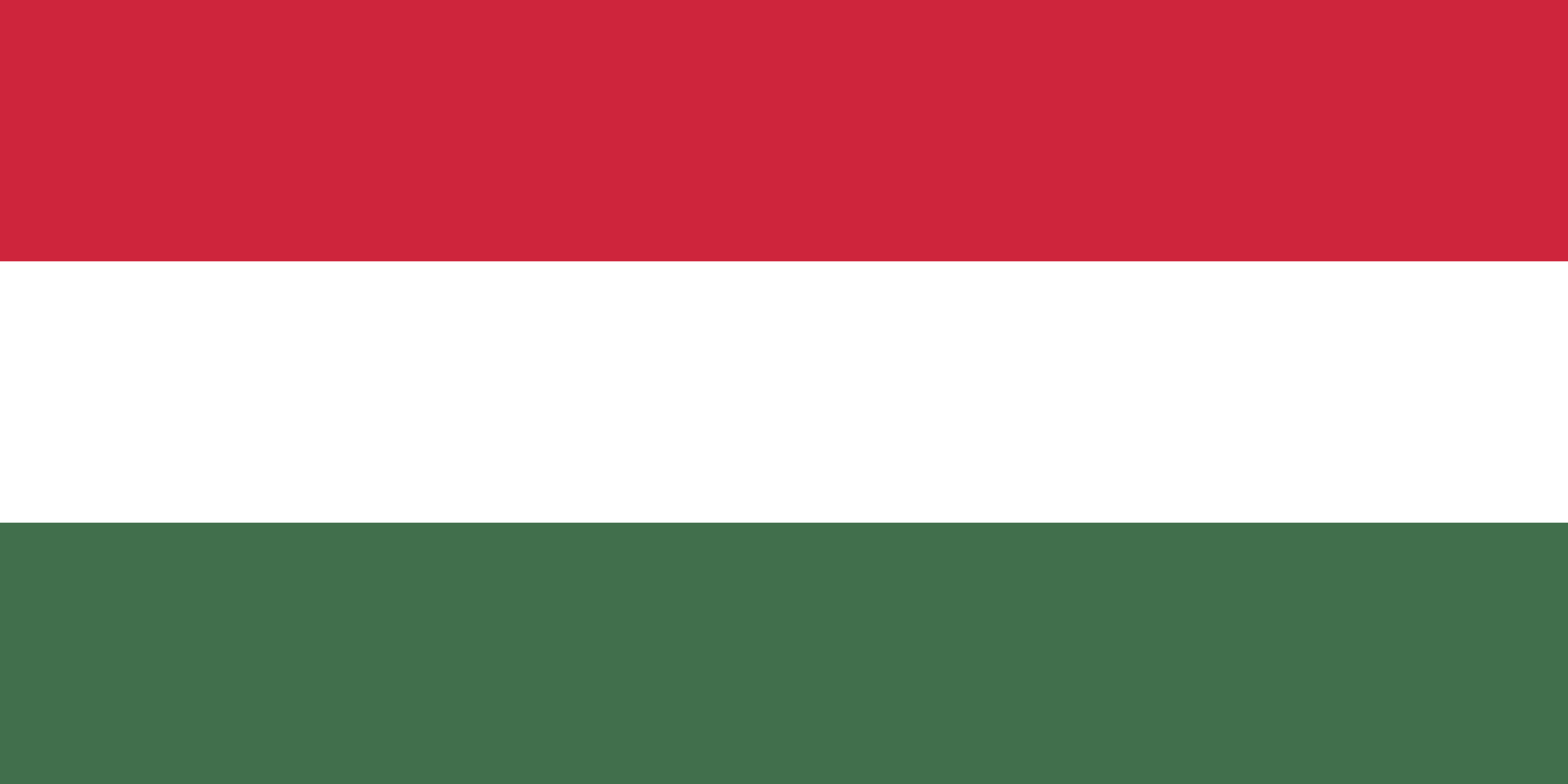 Hungarian Flag, DON CHARISMA